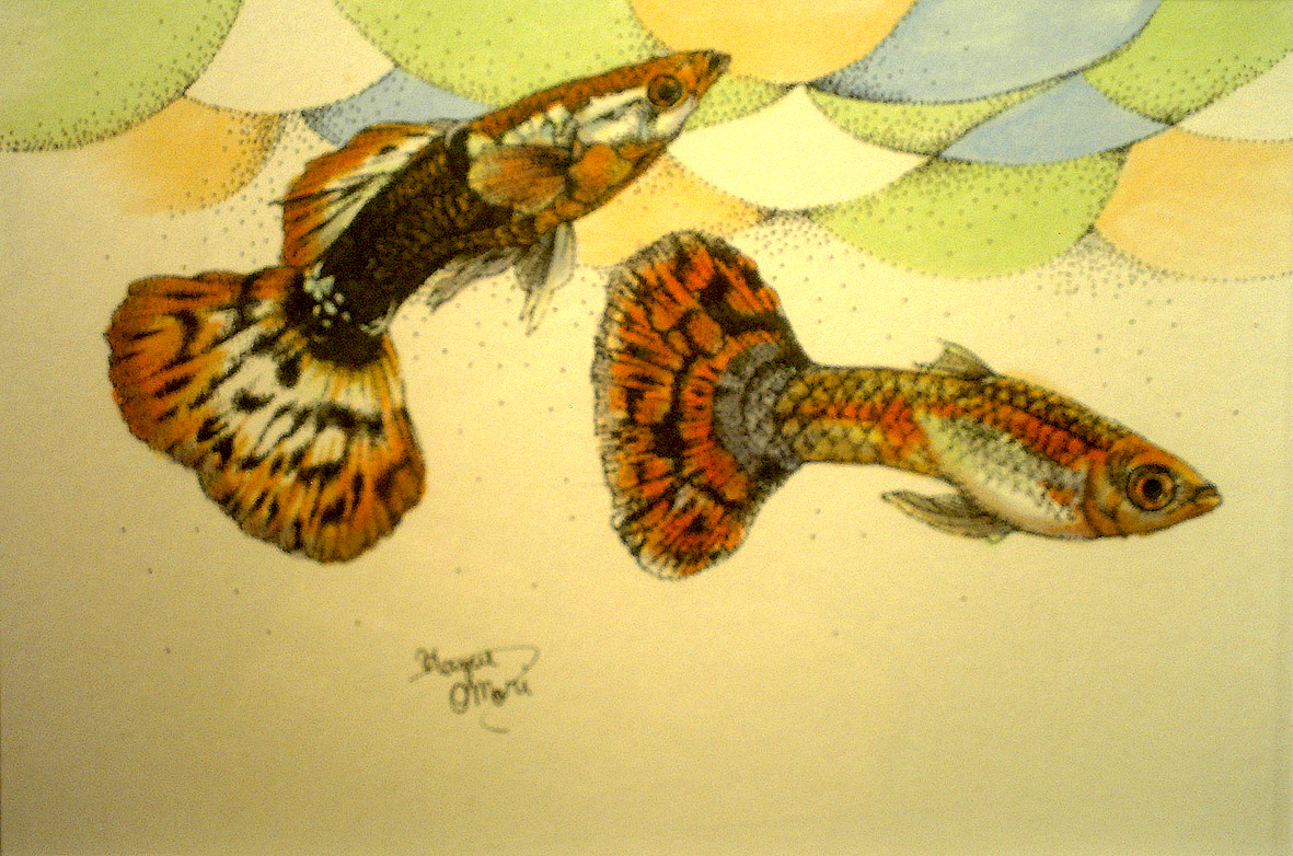 点描画 Dream Fish 1 美術家 大森和枝 Artist Kazue Omori