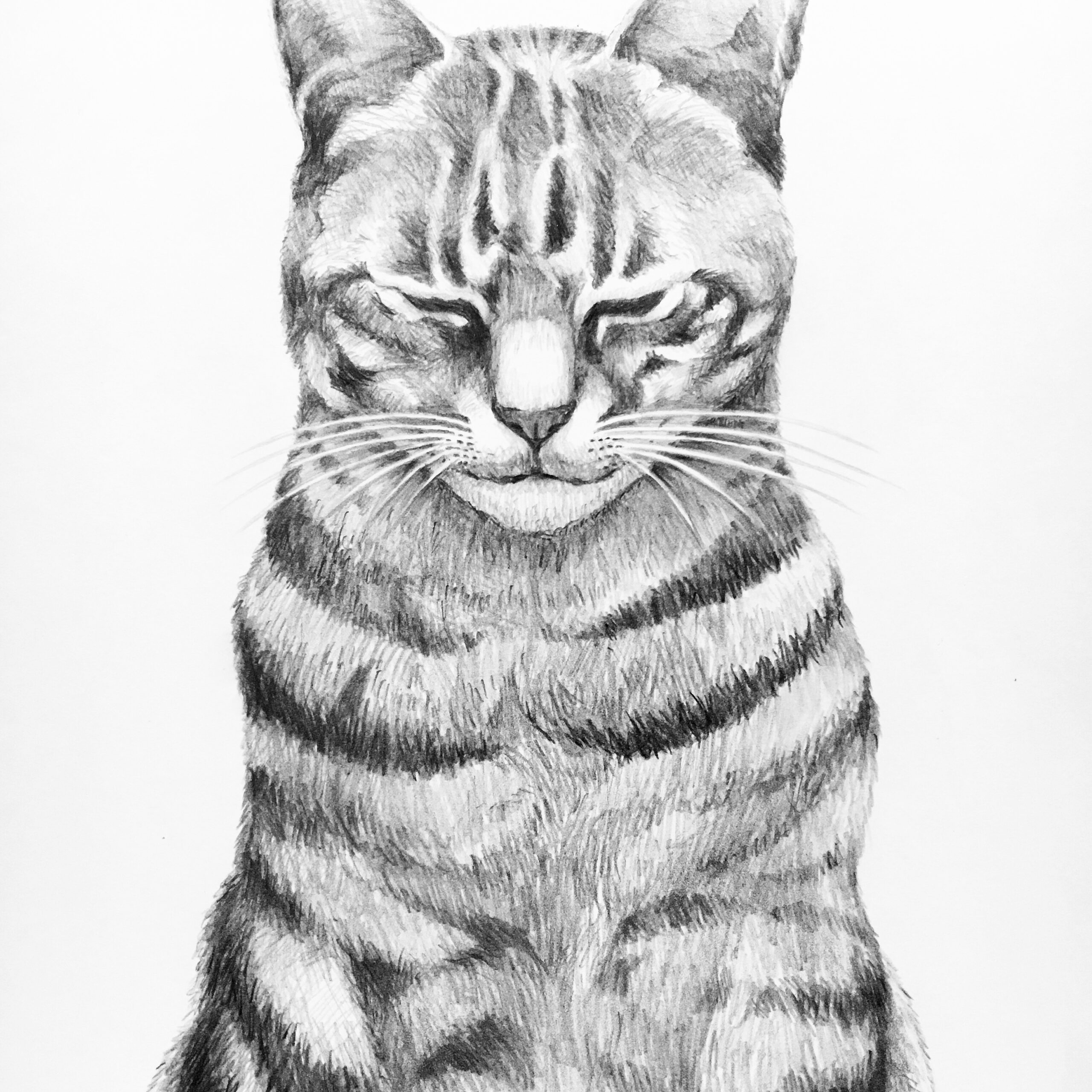祈りu2015或る日の愛猫u2015  美術家 大森和枝 / Artist Kazue Omori