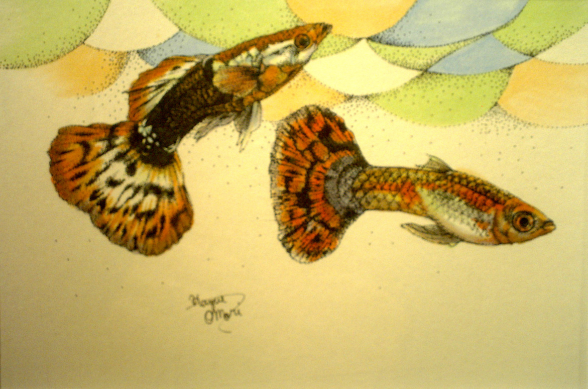 点描画　イラスト　動物画　魚の絵　美術　絵画　絵　アート