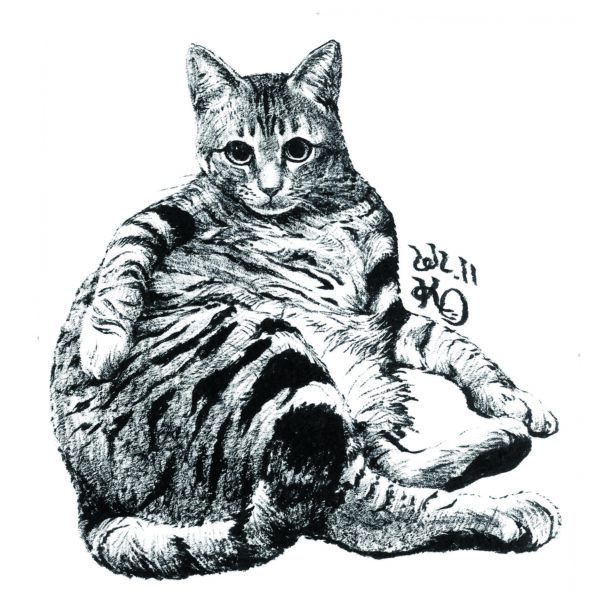 墨絵　猫の絵　イラスト　絵画　美術　アート