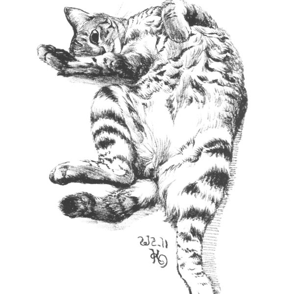 墨絵　猫の絵　イラスト　絵画　美術　アート
