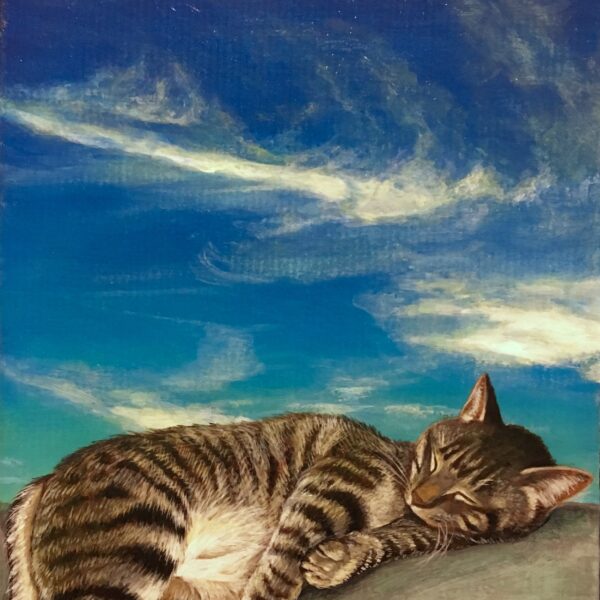 アクリル画　動物画　猫の絵　ネコ　絵画　美術　アート　空の絵