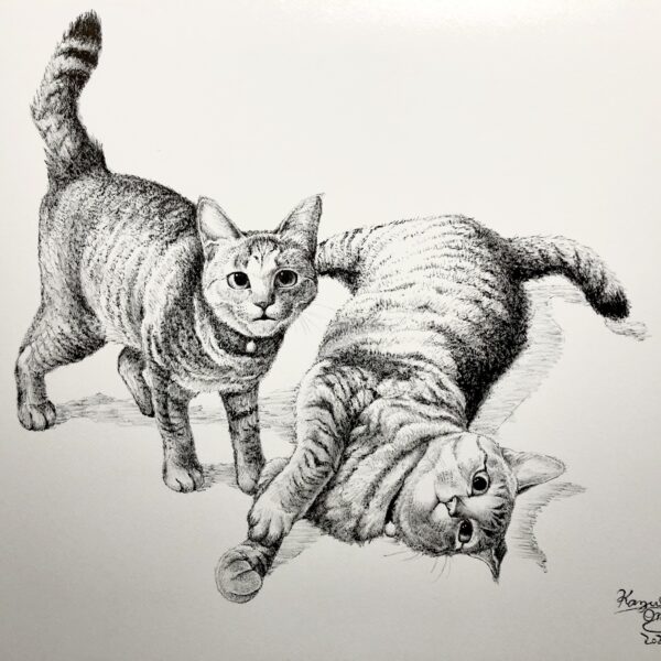 墨絵　筆ペン画　絵画　猫　猫の絵　動物画　キジトラ　お絵かき　