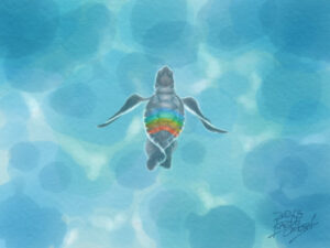 ウミガメ　絵画　デジタル絵画　
