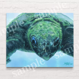 海亀　ウミガメ　art artwork